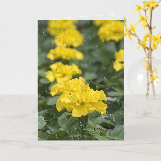 geelbruine bloem en regen kaart (Gele Bloem)