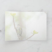 Geelbruine Warbler, vrouw Kaart (Binnen)