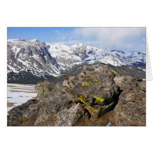 Geelbuikmarmot die naar de Rocky Mountains staart