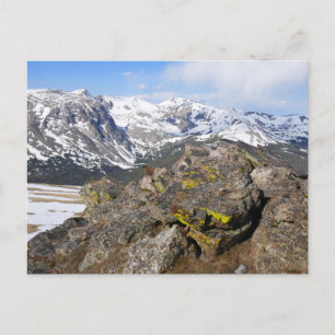 Geelbuikmarmot die naar de Rocky Mountains staart Briefkaart