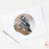 Geelbuikspecht mannetje ronde sticker (Envelop)