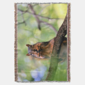 Geelhoorn Deken (Voorkant Verticaal)