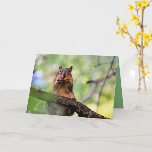 Geelhoorn Kaart (Gele Bloem)