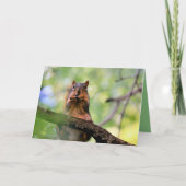 Geelhoorn Kaart (Voorkant)