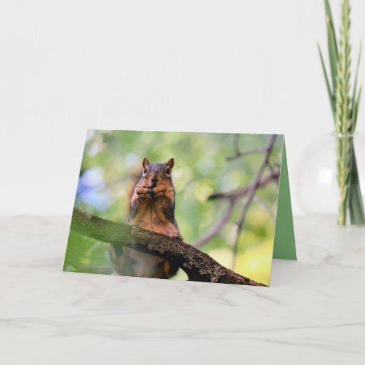 Geelhoorn Kaart (Voorkant)