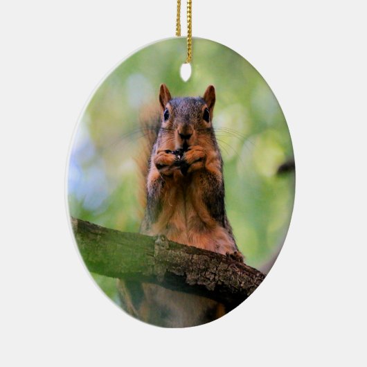 Geelhoorn Keramisch Ornament (Rechts)