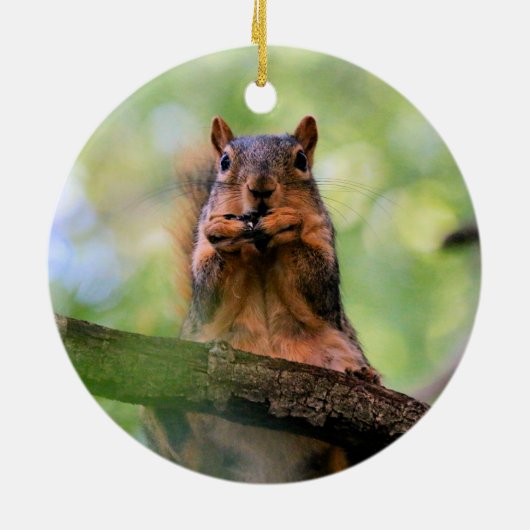 Geelhoorn Keramisch Ornament (Achterkant)