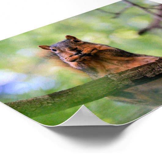 Geelhoorn Poster (Hoek)