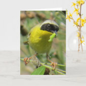 Geelkeel Wenskaart Kaart (Gele Bloem)
