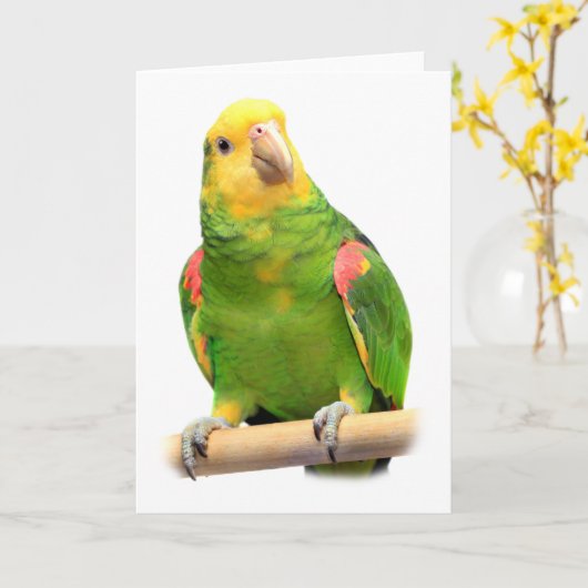 Geelkopamazon Kaart (Gele Bloem)