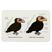 Geelkoppig Groot v Lesser Magneet (Horizontaal)