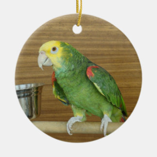 Geelkopte Amazon Parrot Keramisch Ornament