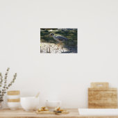 Geelkruinreiger, Florida Poster (Keuken)