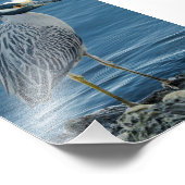 Geelkruinreiger Foto Afdruk (Hoek)