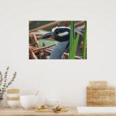Geelkruinreiger Poster (Keuken)