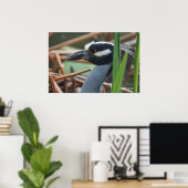 Geelkruinreiger Poster (Thuiskantoor)