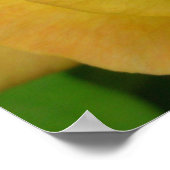 Geelroosprint Mooie Bloem Posterprint Poster (Hoek)