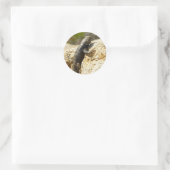 Geelrugstekelhagedis bij Joshua Tree Ronde Sticker (Tas)