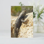 Geelrugstekelleguaan bij Joshua Tree (Staand voorkant)