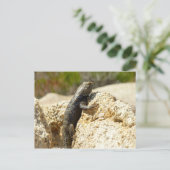 Geelrugstekelleguaan bij Joshua Tree Briefkaart (Staand voorkant)