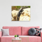 Geelrugstekelleguaan bij Joshua Tree Canvas Afdruk (Insitu (Woonkamer))