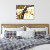 Geelrugstekelleguaan bij Joshua Tree Canvas Afdruk (Insitu (Slaapkamer))