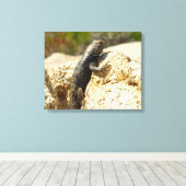 Geelrugstekelleguaan bij Joshua Tree Canvas Afdruk (Insitu (Houten vloer))