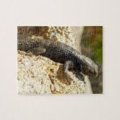 Geelrugstekelleguaan bij Joshua Tree Legpuzzel (Horizontaal)