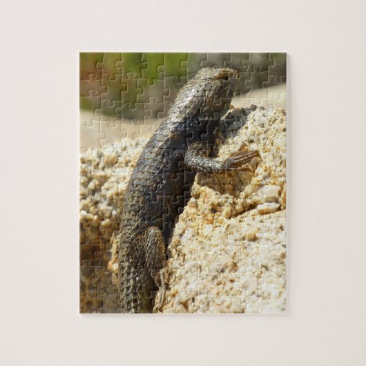 Geelrugstekelleguaan bij Joshua Tree Legpuzzel (Verticaal)