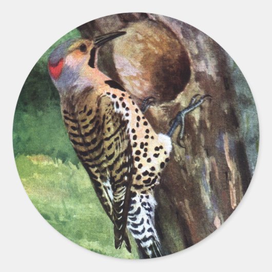 Geelschachten Flicker en Tree Cavity Ronde Sticker (Voorkant)