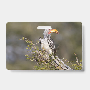 Geelsnavelneushoornvogel Badge