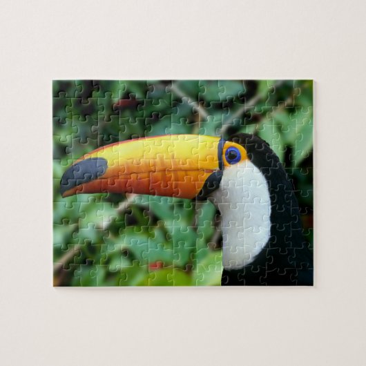 Geelsnaveltoekan Legpuzzel (Horizontaal)