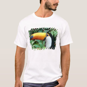 Geelsnaveltoekan T-shirt