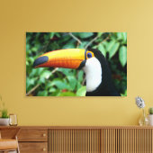 Geelsnaveltoucan Canvas Afdruk (Insitu (Woonkamer))