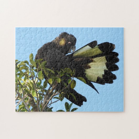 Geelstaartcocao Legpuzzel (Horizontaal)
