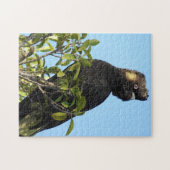 Geelstaartcocao Legpuzzel (Horizontaal)