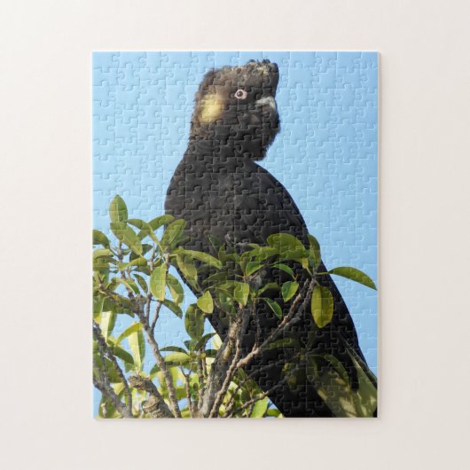 Geelstaartcocao Legpuzzel (Verticaal)