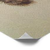 Geelstaartcocao Poster (Hoek)