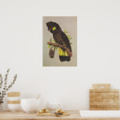 Geelstaartcocao Poster (Keuken)