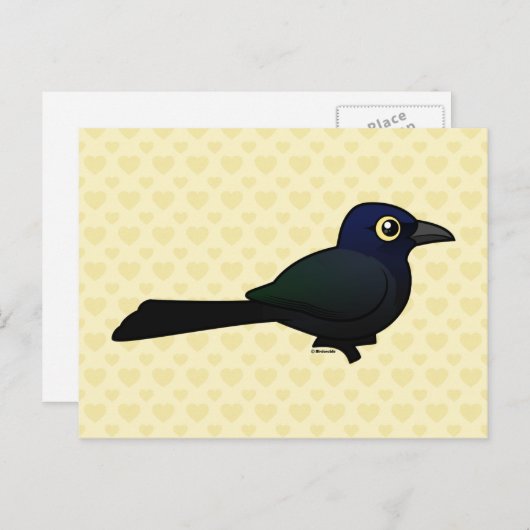 Geelstaartgrackle Briefkaart (Voorkant / Achterkant)