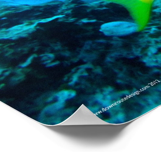 Geelstaartje Poster (Hoek)