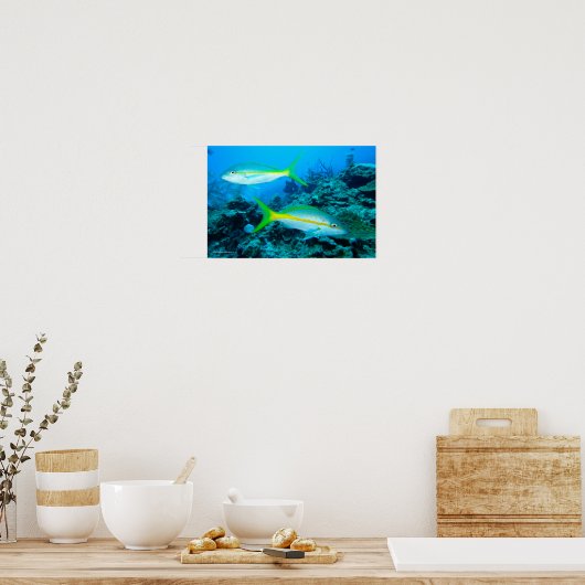 Geelstaartje Poster (Keuken)