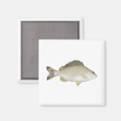 geelstaarttrompetter magneet (Voorkant / Achterkant)