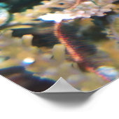 Geelstaartvis Poster (Hoek)