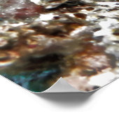 Geelstaartwrasse Poster (Hoek)