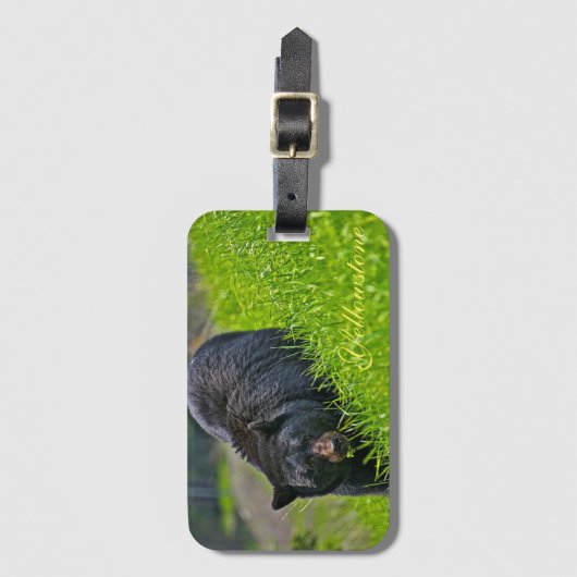 Geelsteen Bagagelabel-Zwart Beer Bagagelabel (Voorkant (verticaal))