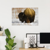 Geelsteen Bison in de vallei van Lamar Poster (Thuiskantoor)