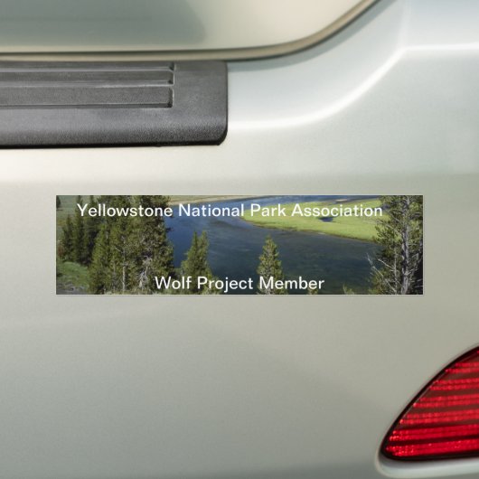 geelsteen bumpersticker (Op auto)