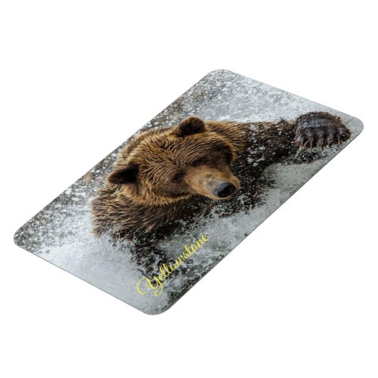 geelsteen Magnet-Beer Magneet (Linkerzijde)