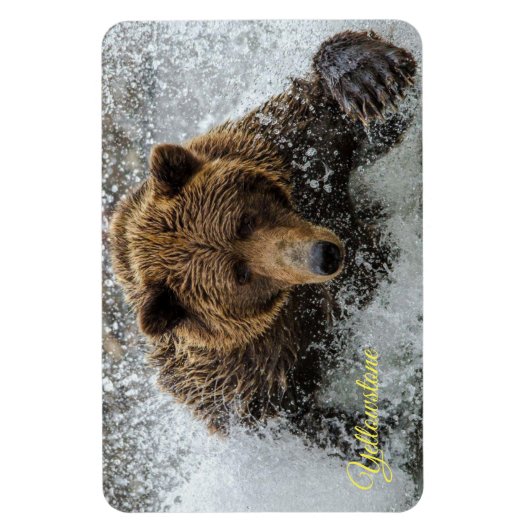 geelsteen Magnet-Beer Magneet (Verticaal)